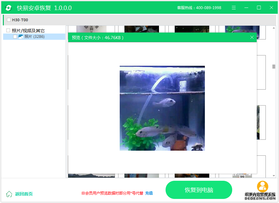 圖4:預覽恢復照片